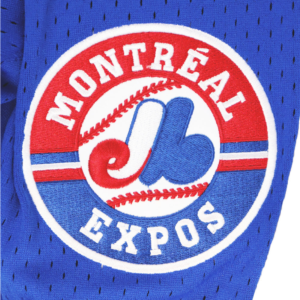 Vladimir Guerrero Sr. Montreal Expos Autographed Cooperstown Jersey product image 3, provided for visual reference and