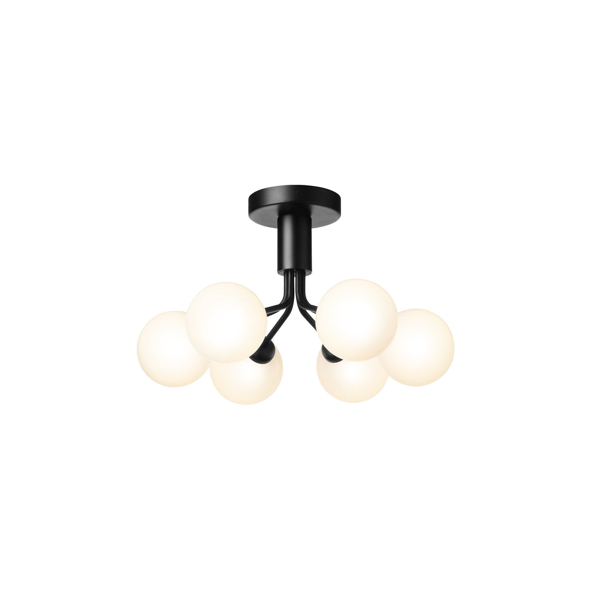 Apiales Semi Flush Mount