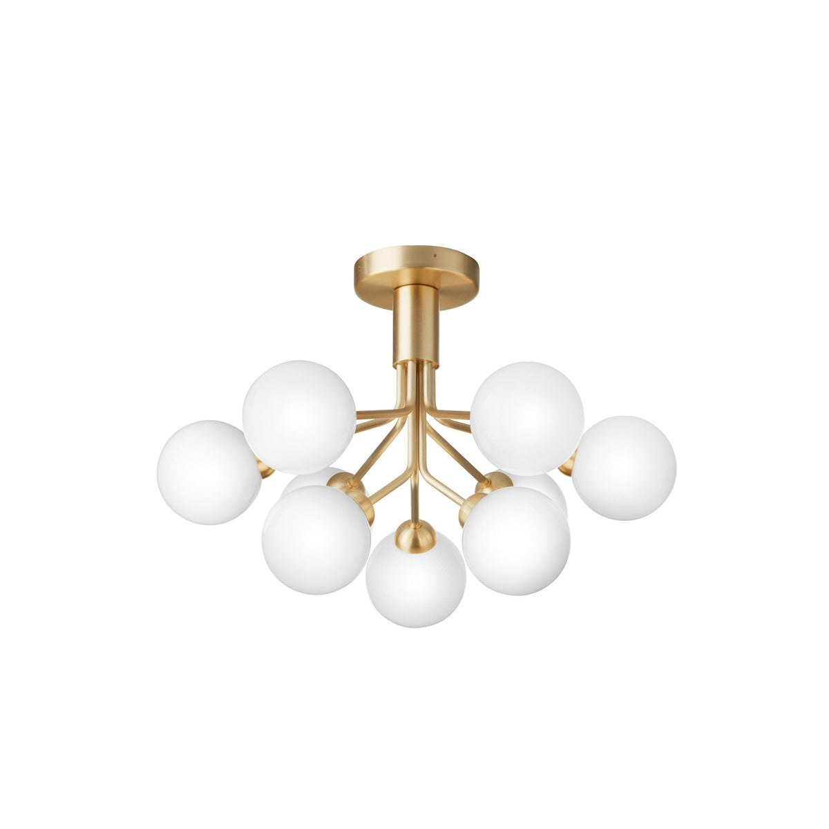 Apiales Semi Flush Mount