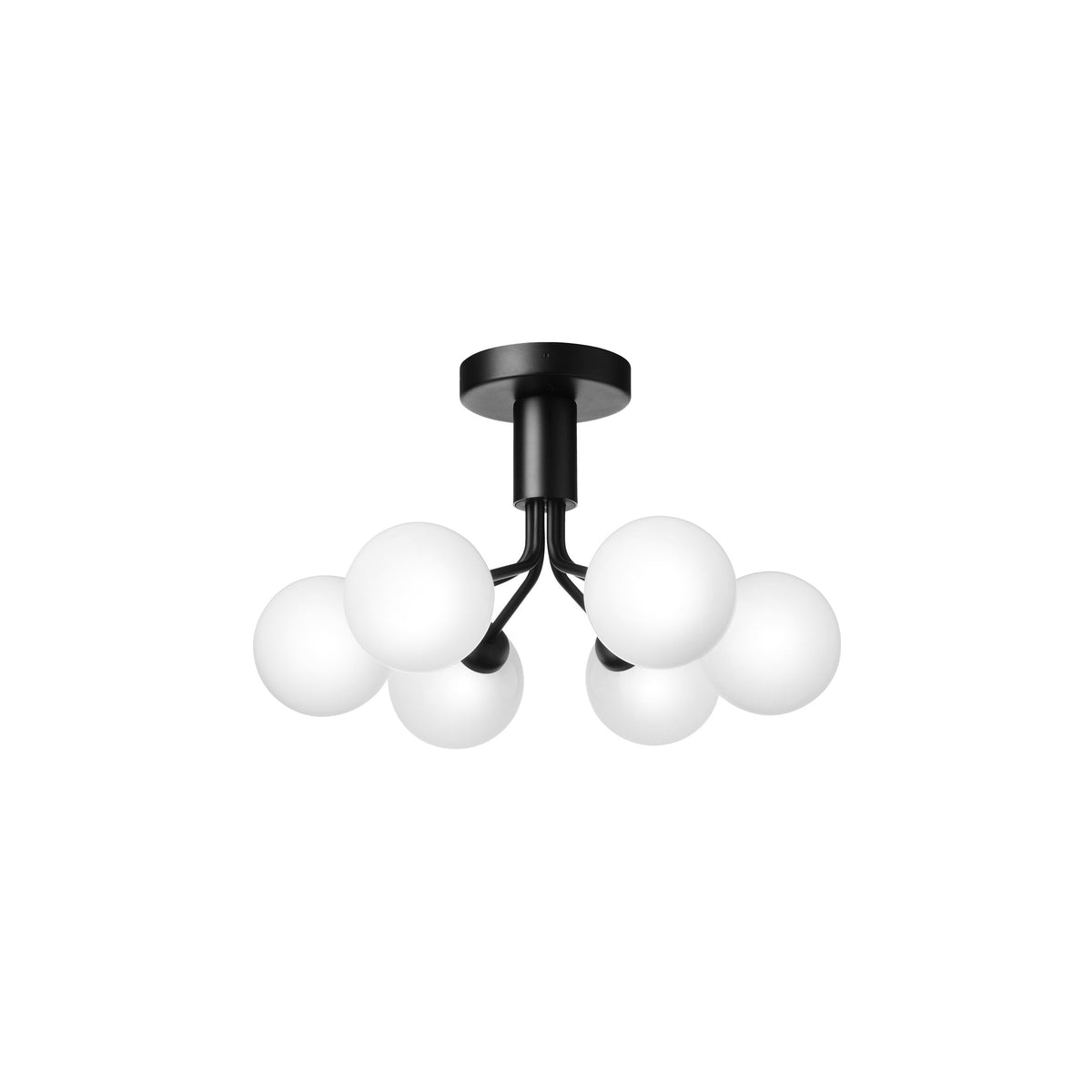 Apiales Semi Flush Mount