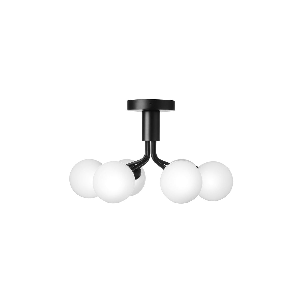 Apiales Semi Flush Mount