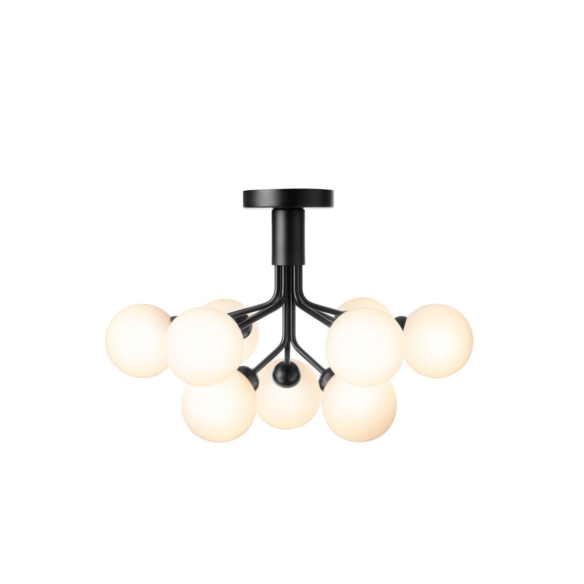 Apiales Semi Flush Mount