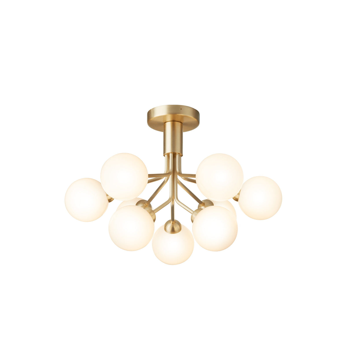 Apiales Semi Flush Mount