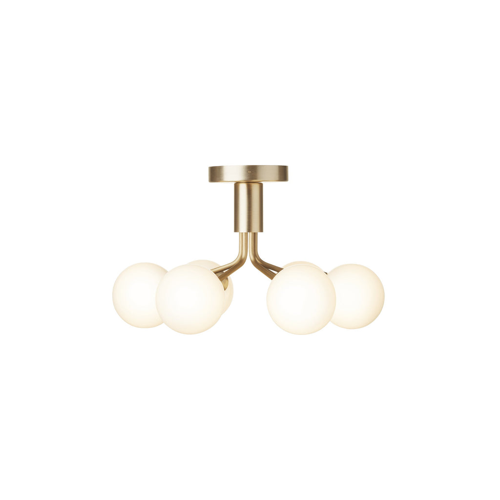 Apiales Semi Flush Mount