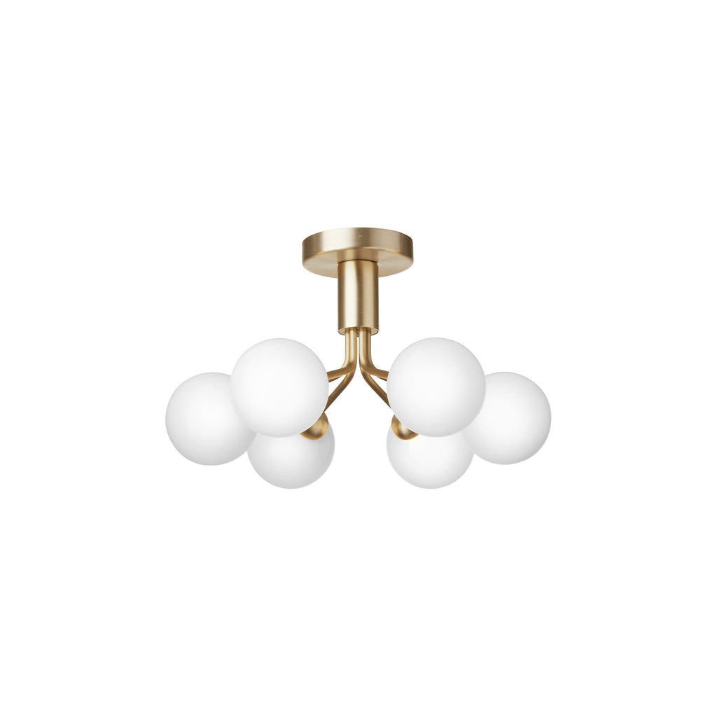 Apiales Semi Flush Mount