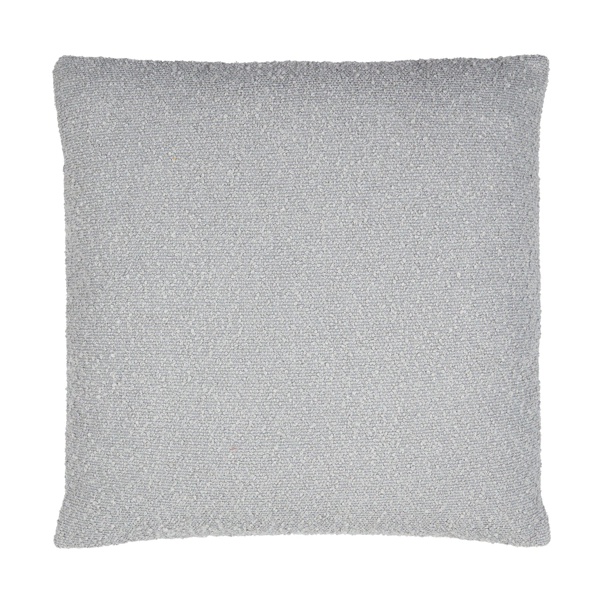 Eesha Throw Pillow