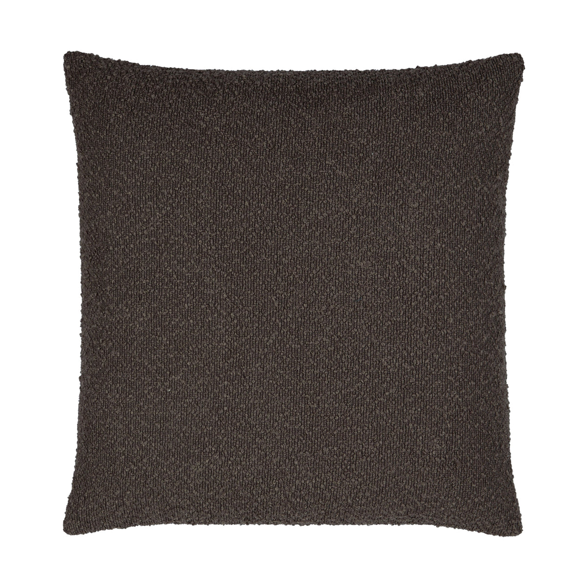 Eesha Throw Pillow