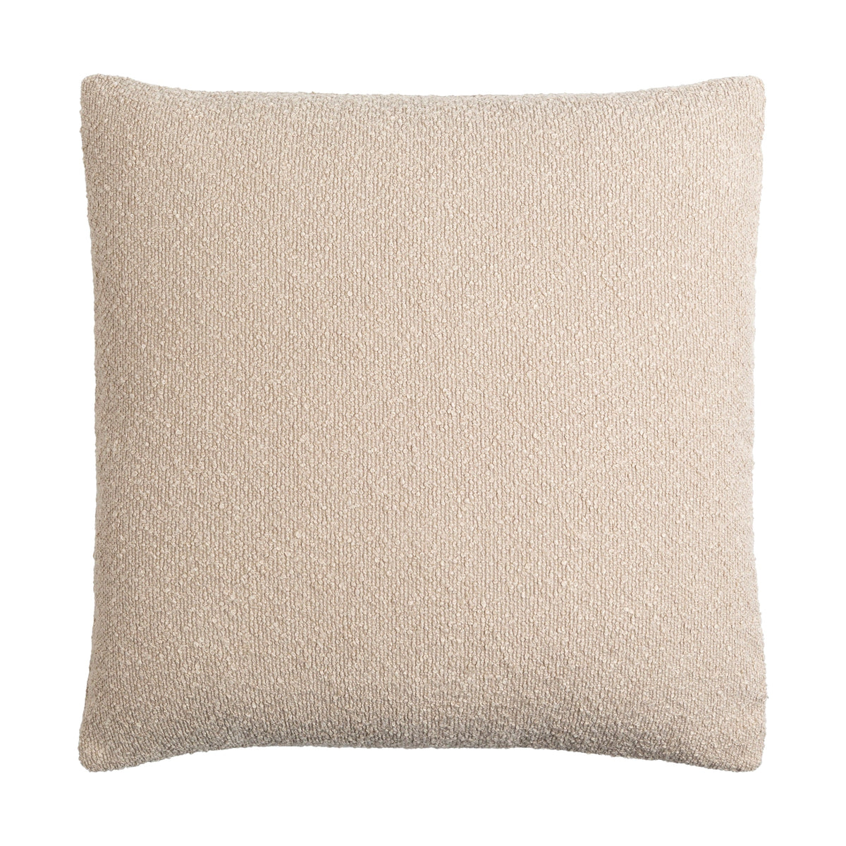 Eesha Throw Pillow