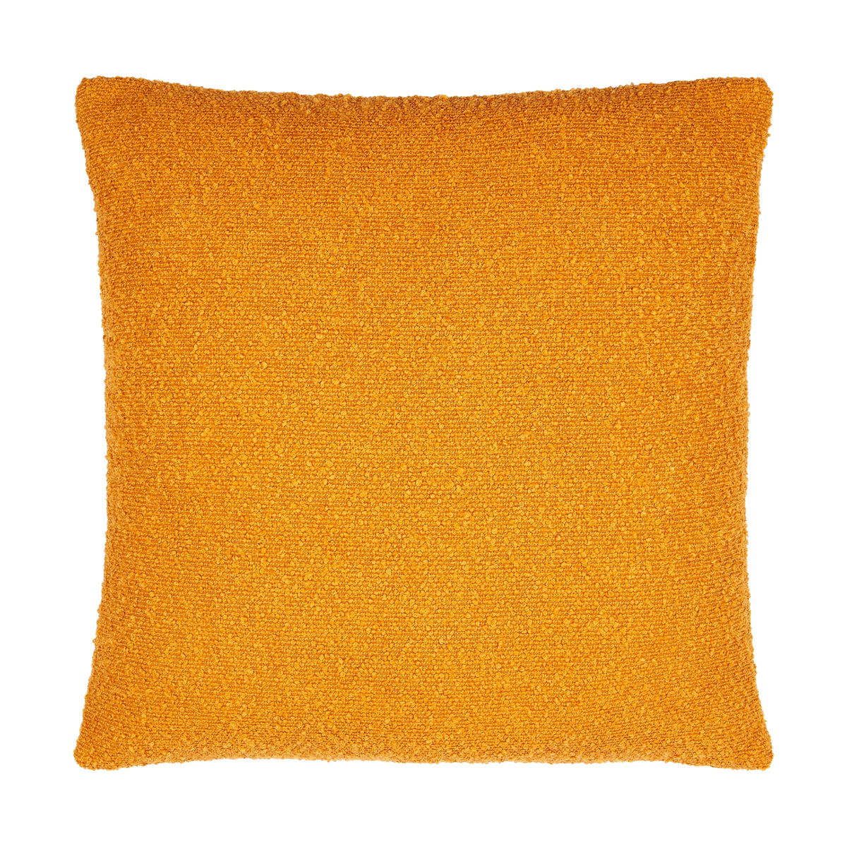 Eesha Throw Pillow