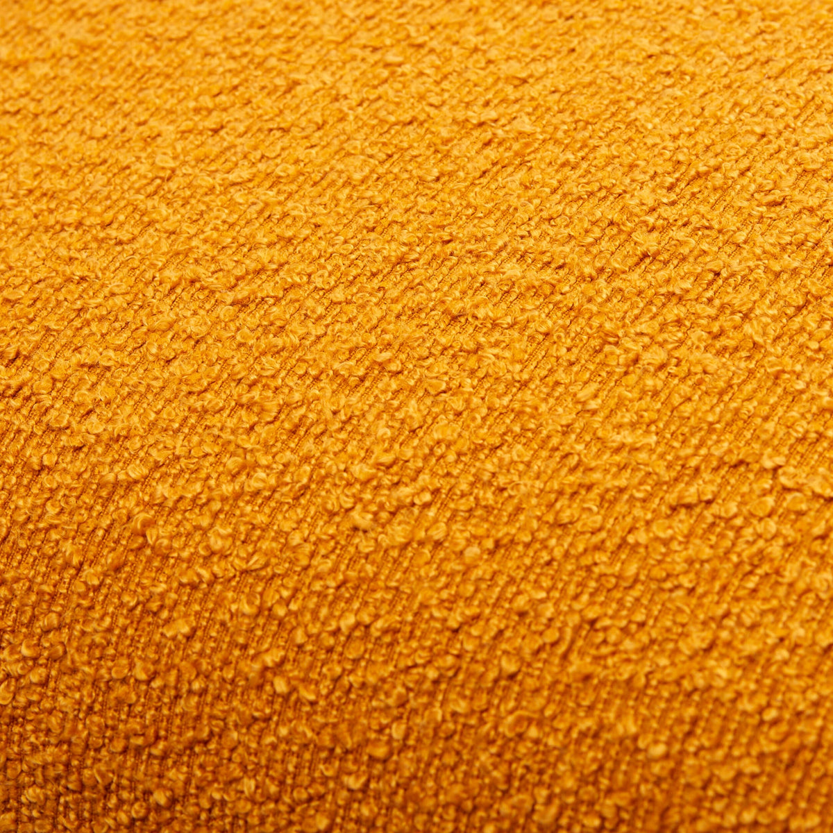 Eesha Throw Pillow